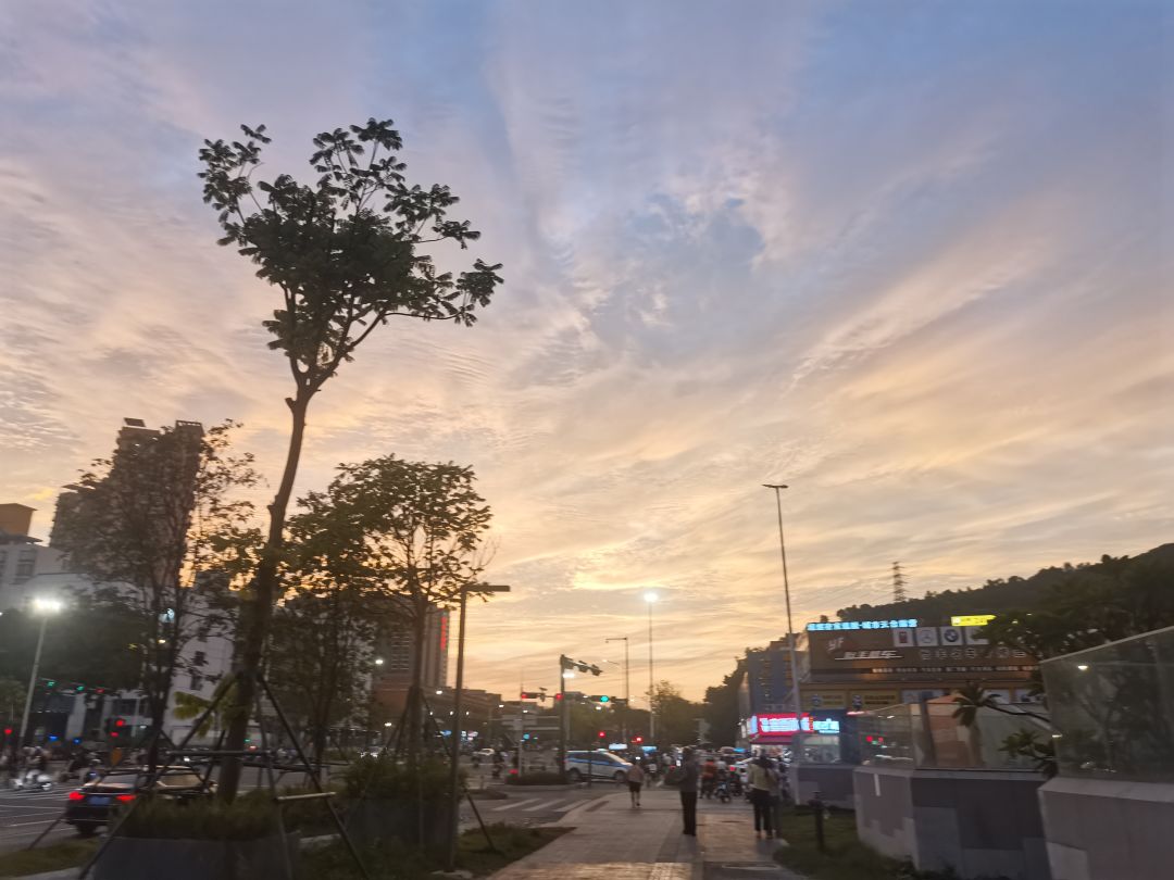这就是为什么我喜欢深圳 2