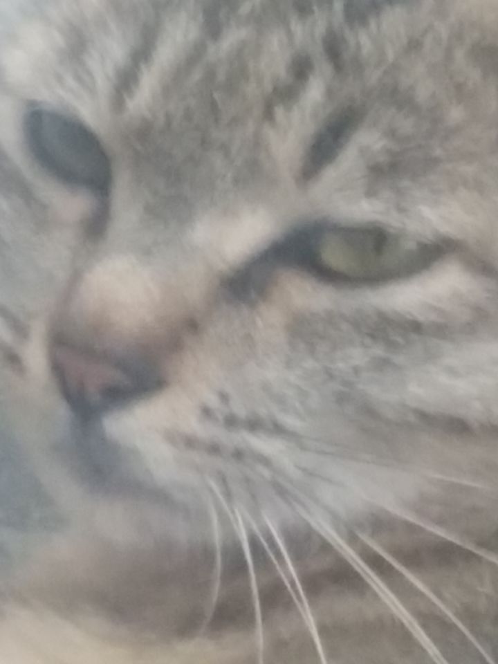 纸嫁衣八 公测 猜测截图