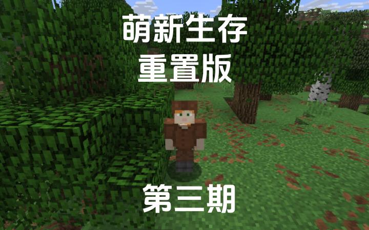 我的世界萌新生存重置版第三期截图
