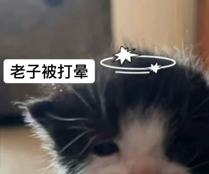 追个空投偶遇8级丧尸截图