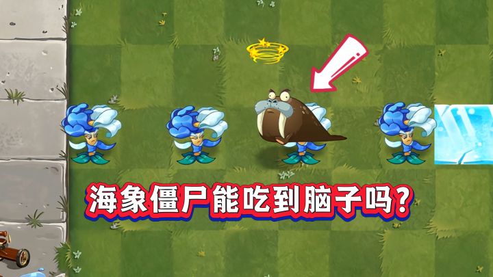 内鬼全力辅助,海象僵尸能吃到脑子吗?截图