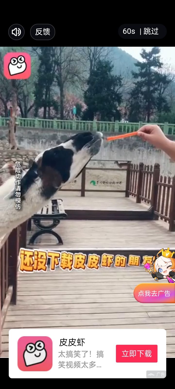 动态图片 10