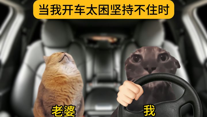 当开车太困坚持不住时截图