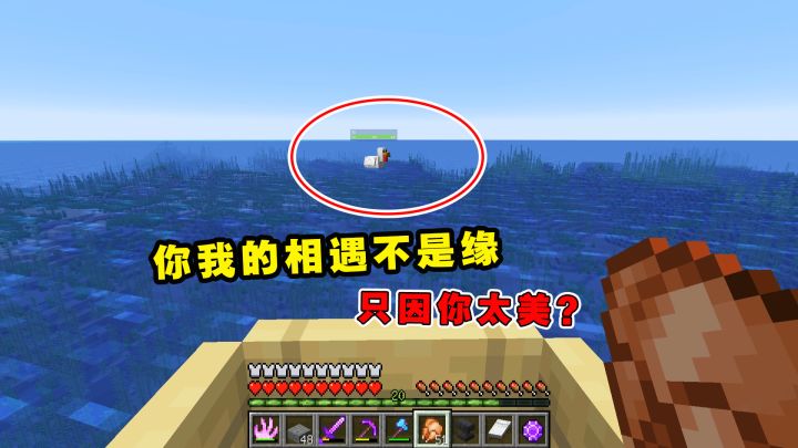 我的世界Him传说41:你我的相遇不是缘!只因你太美?截图