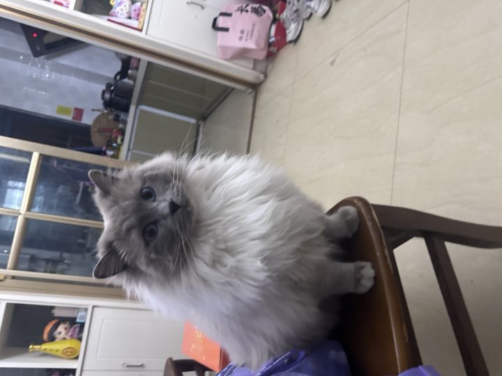 来个PC端搭子截图