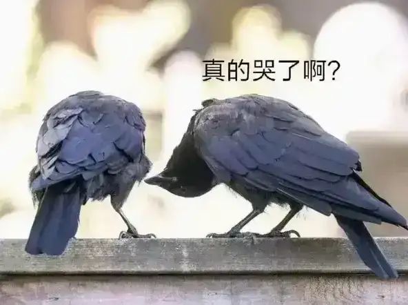 245副本强度测试 1