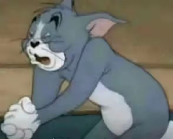 有没有大佬让我抓一下赛季的精灵啊 1