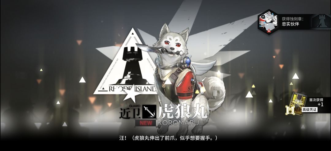 动态图片 6
