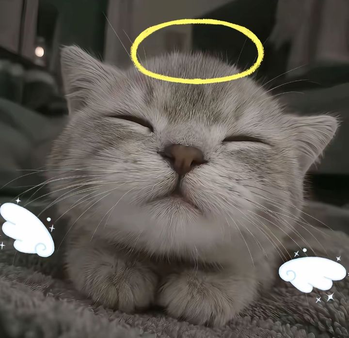 超自然绑恋人关系截图
