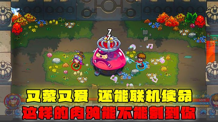 又菜又爱,还能联机续命,这样的肉鸽,能不能割到你截图