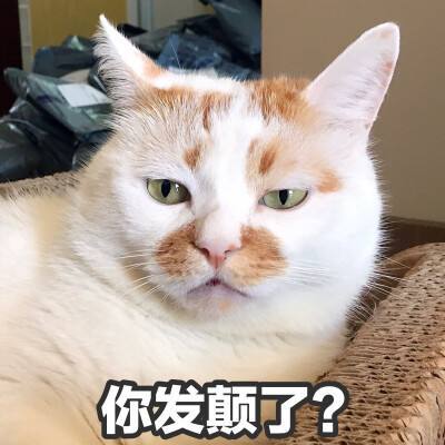 动态图片 4