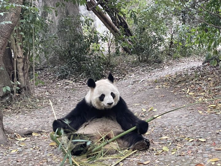 大佬们,萌新求问截图