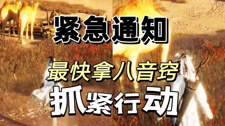 四级食材骆驼奶无限刷,拿捏八音窍指日可待截图