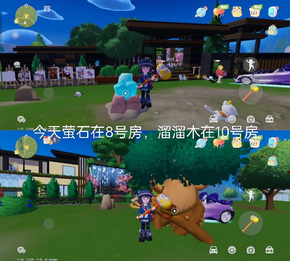 9月19日萤石溜溜木和兑换码截图