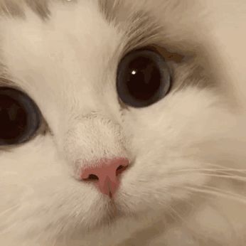 我倒要看看是个啥截图