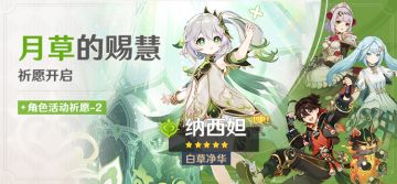 「月草的赐慧」祈愿：「白草净华·纳西妲(草)」概率UP！
