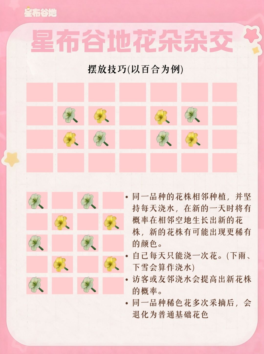星布谷地岛花杂交及摆法攻略 3