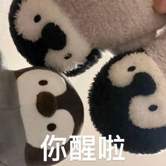养老公会《樱染汐》招新 1