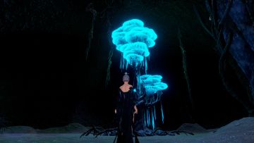 4月13号轮回修仙路在TapTapPC端开启内测！