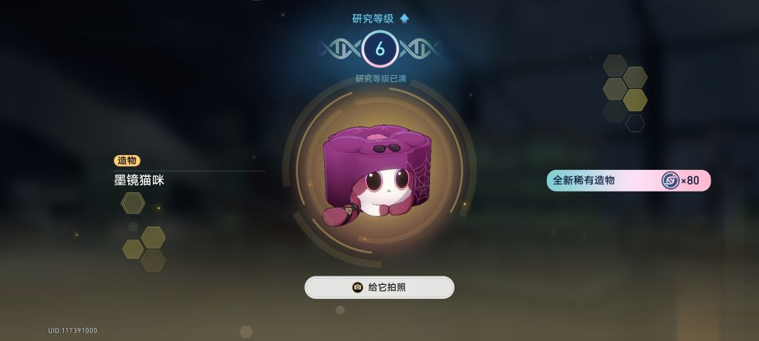 这些小猫真的好可爱 7