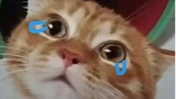 地图编辑器优质地图推荐