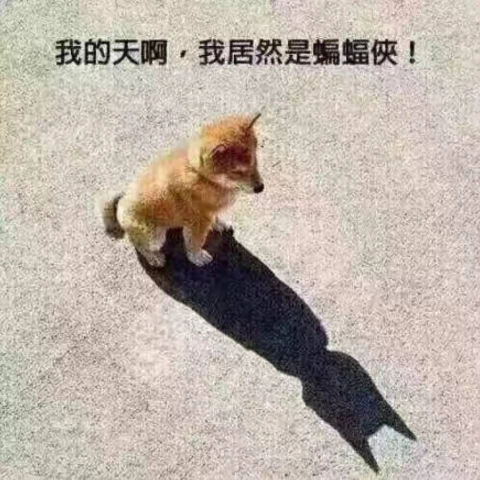 为什么要降难度??? 1