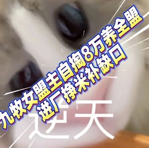 video-5761109