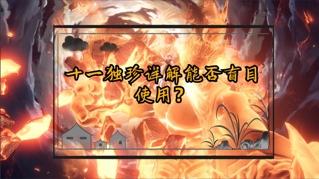 什么是十一独珍法天象地流派？截图