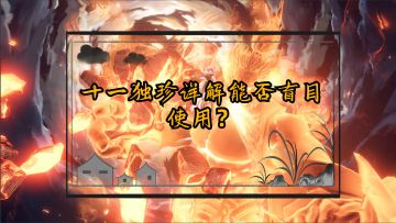 什么是十一独珍法天象地流派？