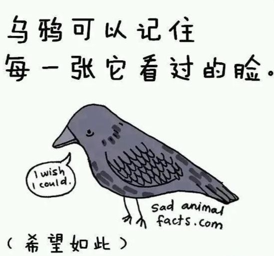 (每日一氵) 2
