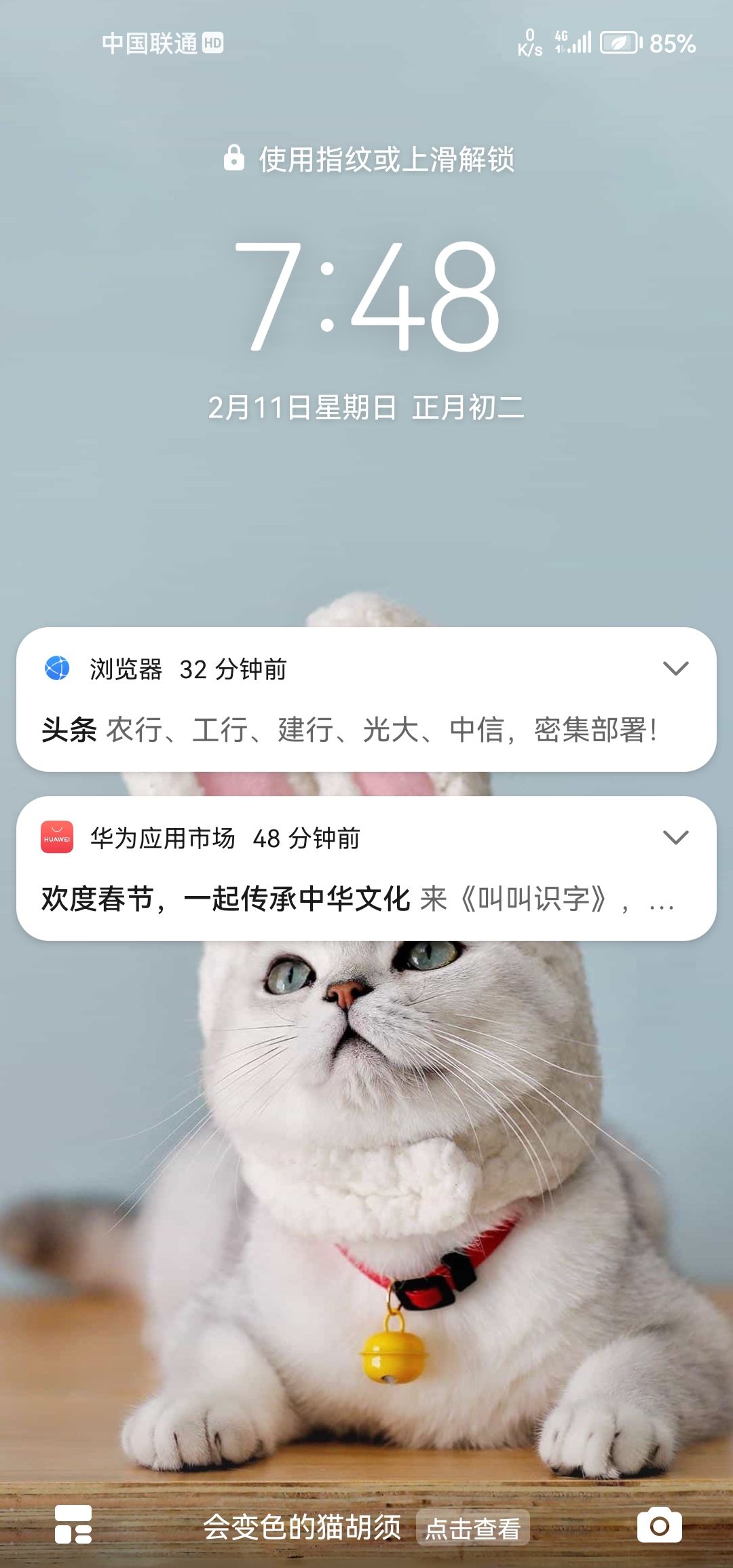 动态图片 10
