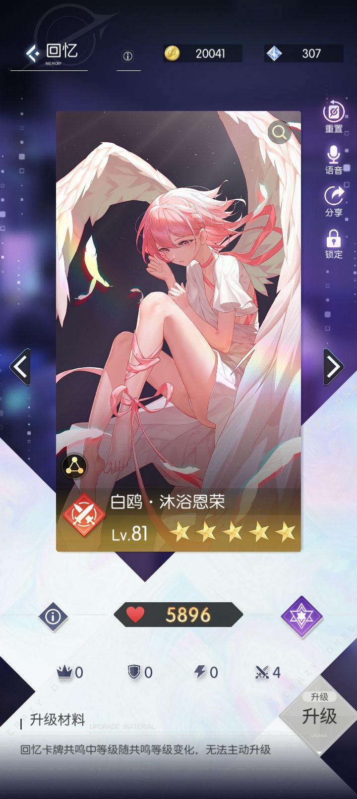 新年的惊喜 8