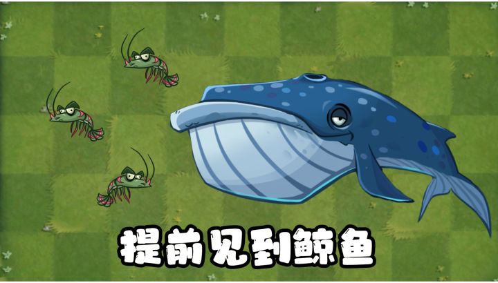 海底世界第二部分,我们提前见到了鲸鱼?截图