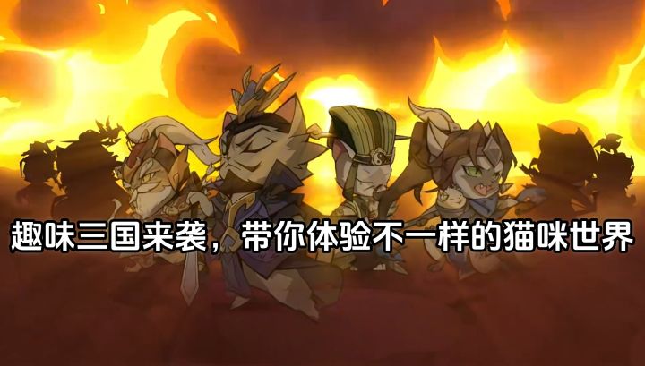 趣味三国来袭,带你体验不一样的猫咪世界截图