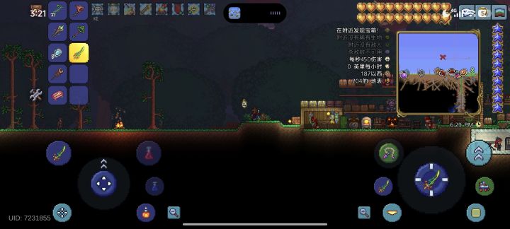 新手犯病截图