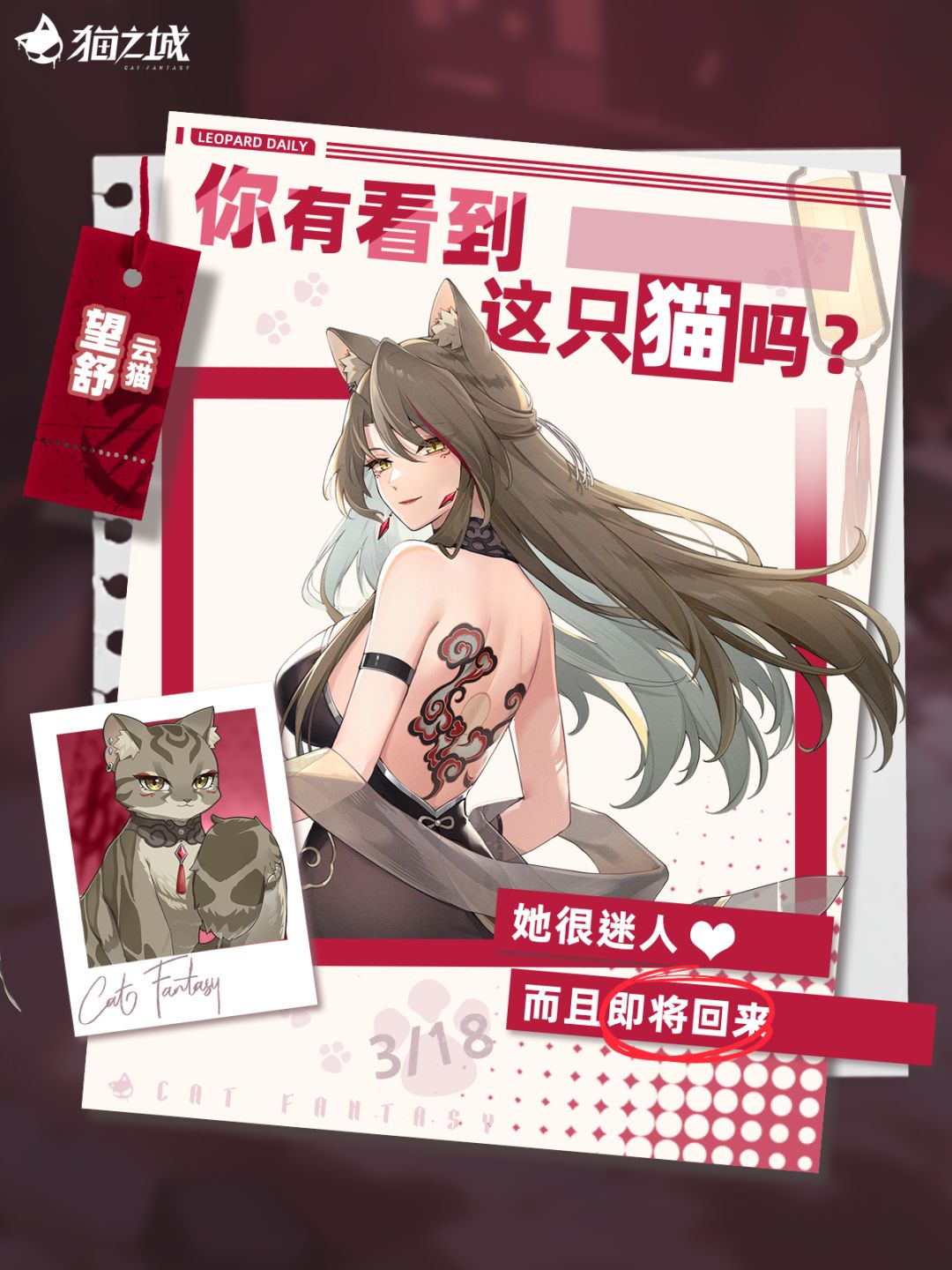 🐾寻猫启事:你有看到云猫吗? 1