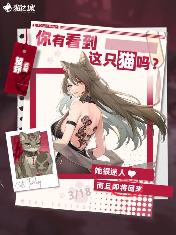 🐾寻猫启事：你有看到云猫吗？