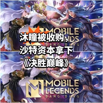 沐瞳也是字面意义上被卖了