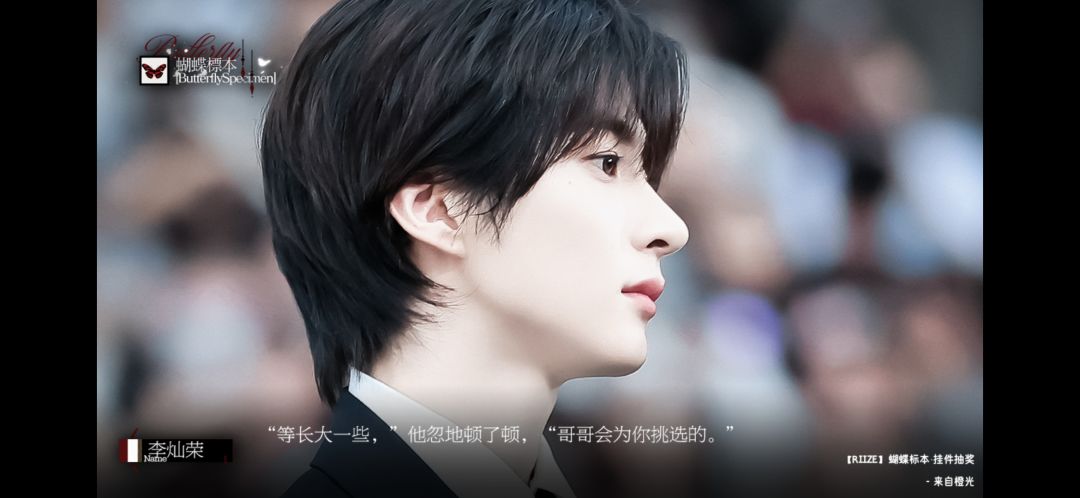 蝴蝶标本 2