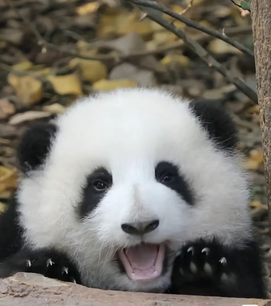 股票走向推测 2