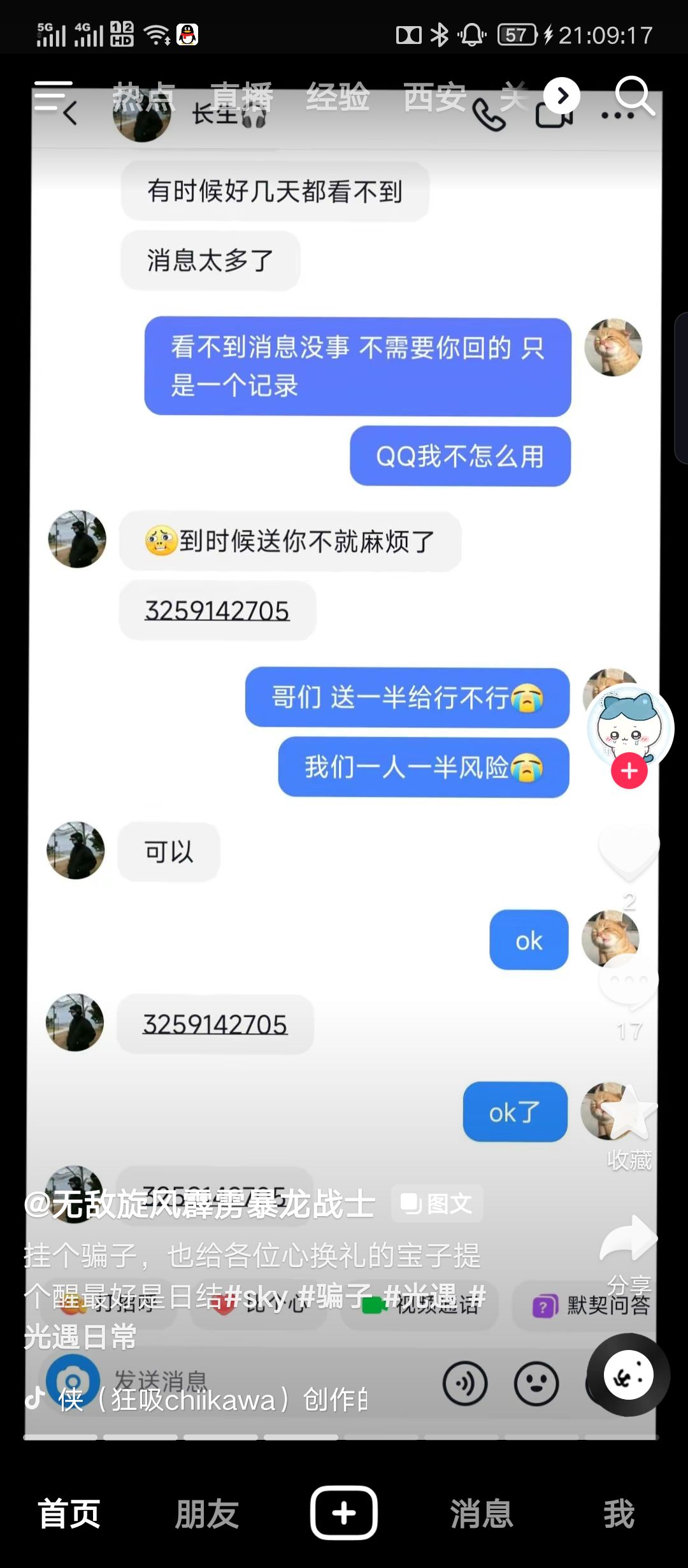 真的没见过 5