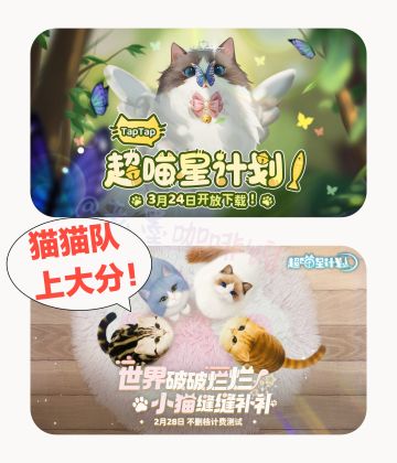 猫猫队上大分‼️🐈让小猫来治愈你的疲惫吧～