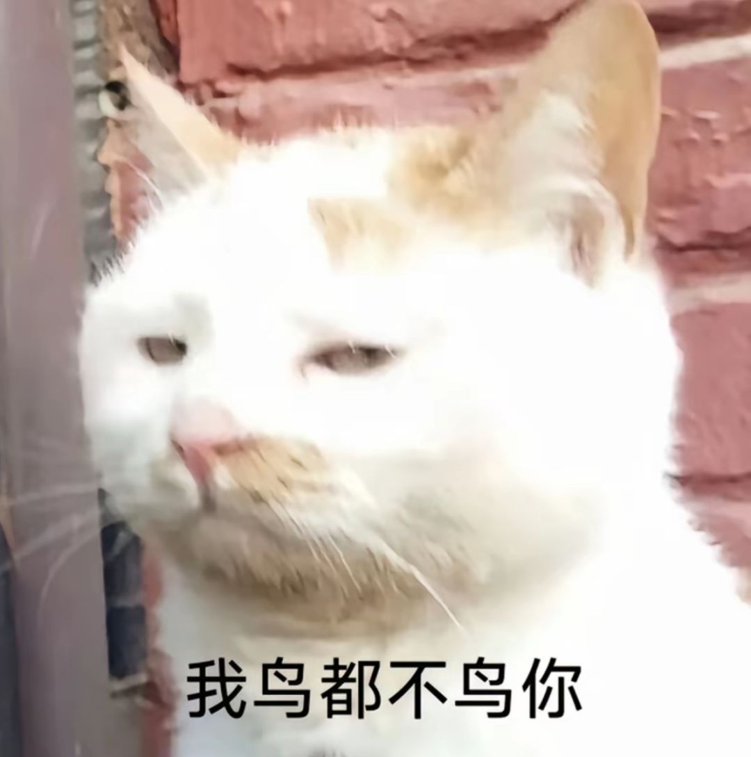 女画家up池关羽自选池真的有女画家吗? 1