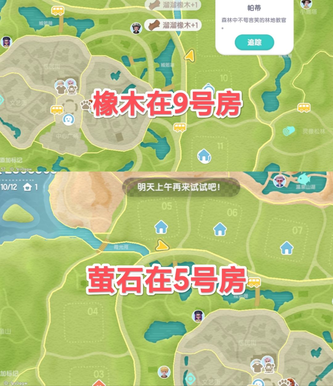 2.11心动小镇萤石溜溜橡木和灯谜具体位置 2