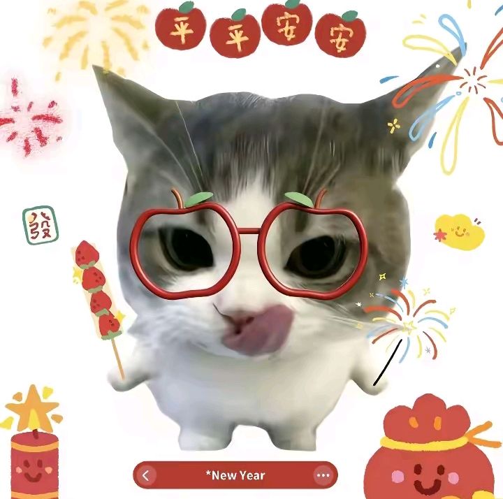 动态图片 16