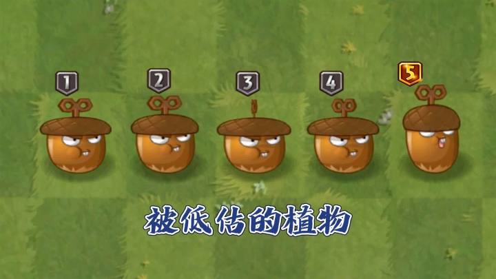 植物大战僵尸2：被低估的旋风橡果！截图