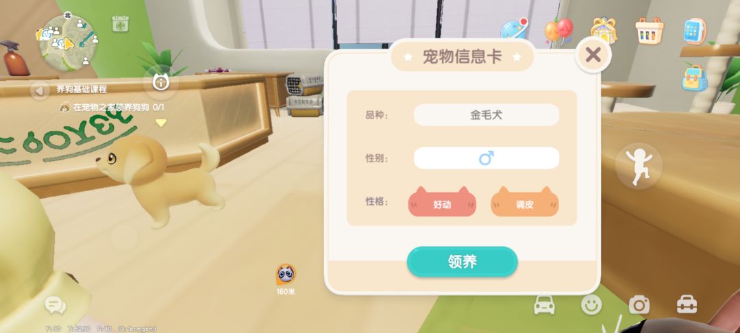 今天的小狗狗 2