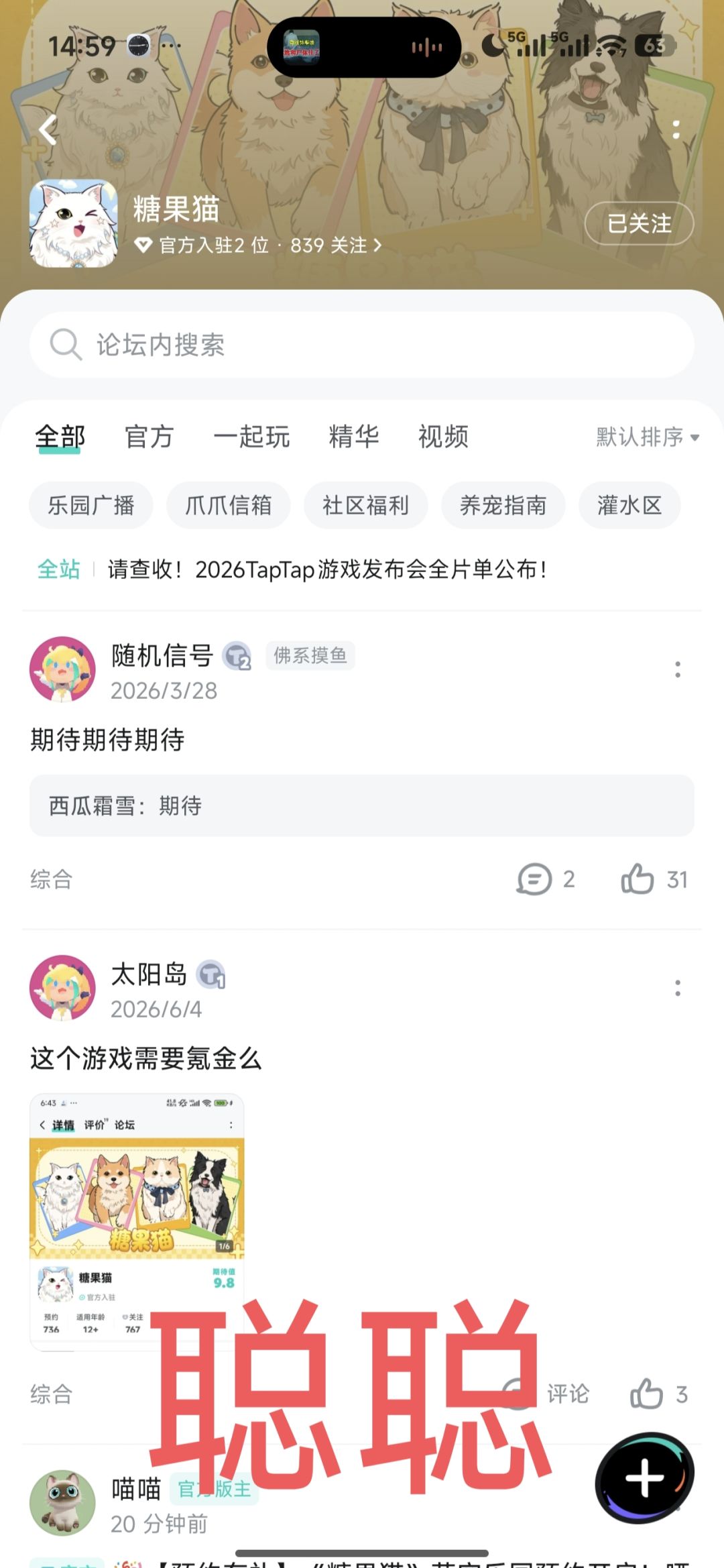 糖果猫 2