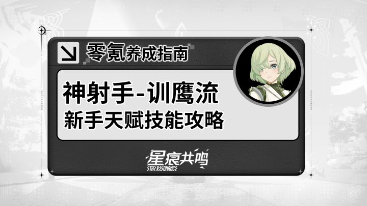 【星痕共鸣】神射手-训鹰流：基础玩法介绍截图