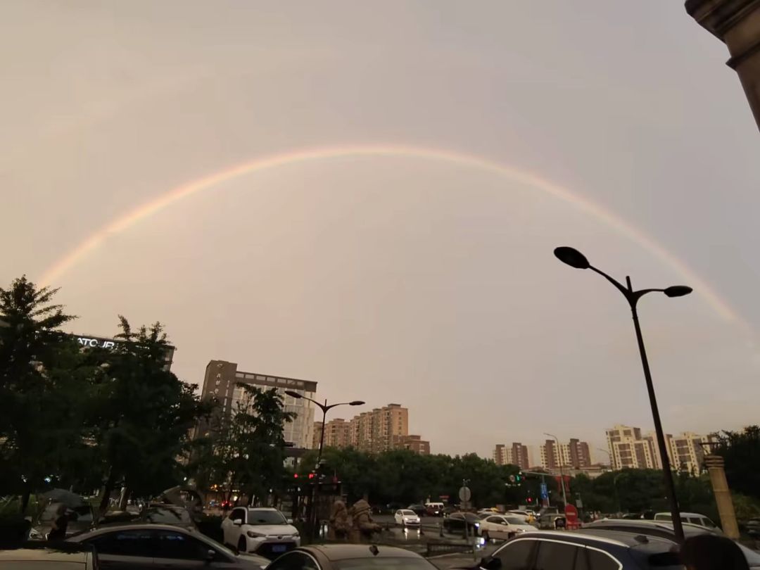动态图片 5